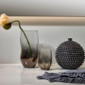 Kråkebolle Stor